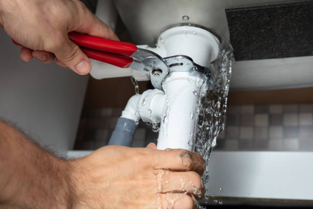 Best Mold removal after water damage  in Cave Junction, OR