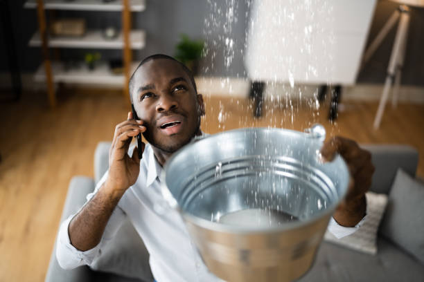 Best Basement water damage restoration  in Cave Junction, OR