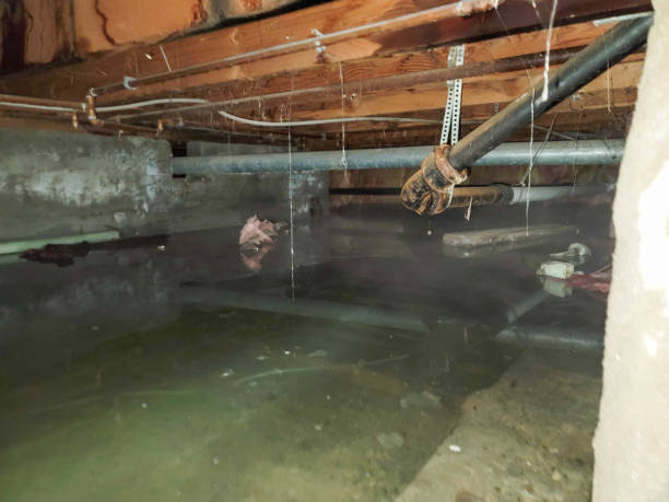  Cave Junction, OR Water damage restoration Pros