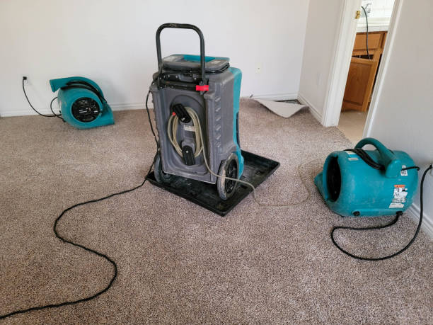 Water damage restoration experts in Cave Junction, OR