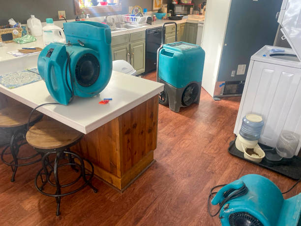 Best Local water damage restoration  in Cave Junction, OR