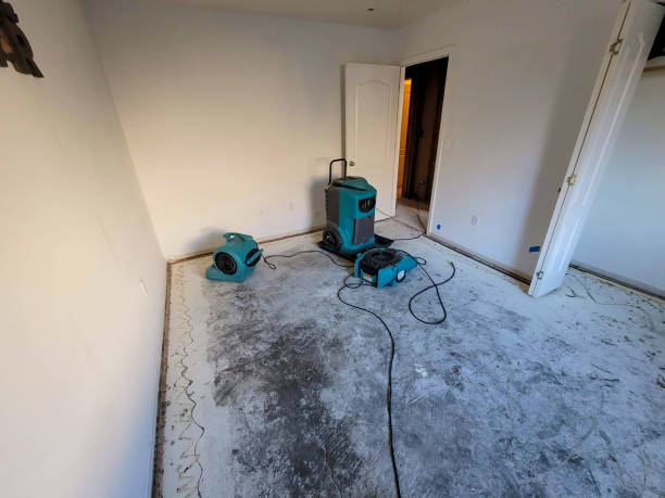 Best Water damage cleanup near me  in Cave Junction, OR