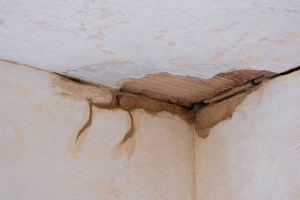 Best Water damage restoration mold remediation  in Cave Junction, OR