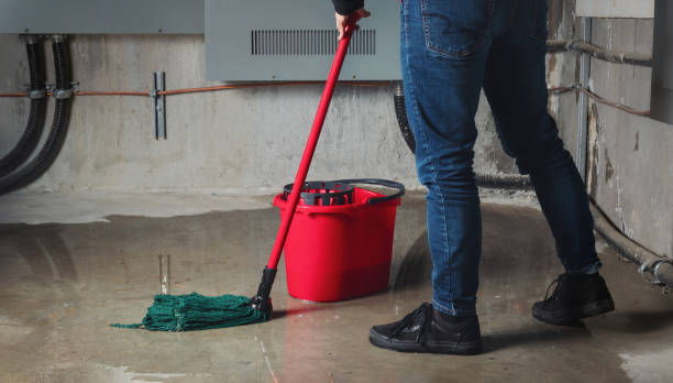 Best Emergency water damage restoration  in Cave Junction, OR