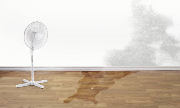 Best Water damage restoration specialists  in Cave Junction, OR