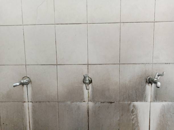 Best Flooded house restoration  in Cave Junction, OR