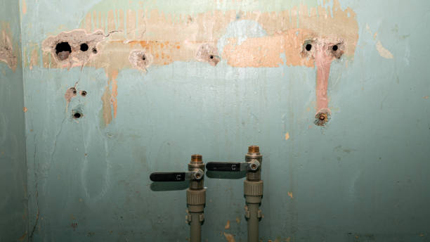 Carpet water damage restoration in Cave Junction, OR