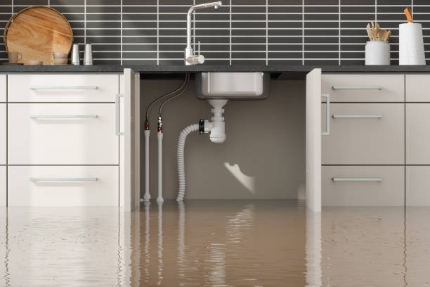 Best Sewage cleanup and water damage restoration  in Cave Junction, OR