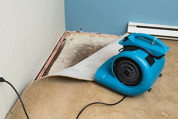 Reliable Cave Junction, OR Water damage restoration Solutions
